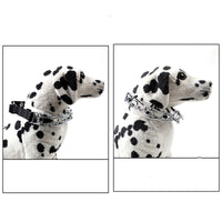 Pet Supplies Amazon's New Dog Stimulating Chain For Dog Training