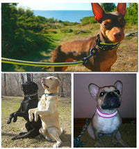 Pet Reflective Nylon Sandwich Breathable Mesh Collar