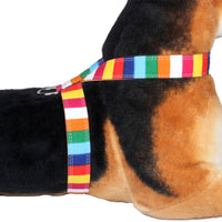 Colorful Collar Dog Walking Rope Canvas PU Combination Traction Rope Color Dog Chest Strap