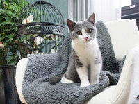 Plush Pet Blanket Dog Mat Cat Mat Pet Air Conditioning Mat Pet Plush Mat