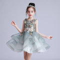 Spring And Summer New Childrens Dress Evening Dress Puffy Yarn Fairy Skirt