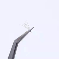 Naturally Grafted Single Cluster A-shaped False Eyelashes