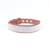 Aming New Dog Collar