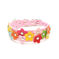 Double row flower pet collar