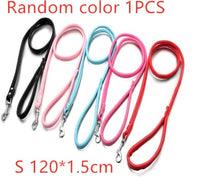 Double row flower pet collar