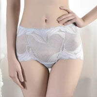 Women's High Waist Underwear Transparent Abdomen