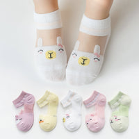 Thin Breathable Mesh Card Silk Boat Socks