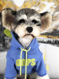 Dog Clothes Autumn And Winter Clothes Cotton Small Dog Xia Jiarong Pet Sweater