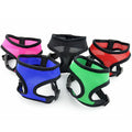 Small Dog Chain Teddy Vest-Style Dog Walking Collar