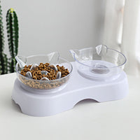 Protect The Cervical Spine Plastic Cat Bowl With Oblique Mouth Double Bowl