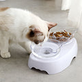 Protect The Cervical Spine Plastic Cat Bowl With Oblique Mouth Double Bowl