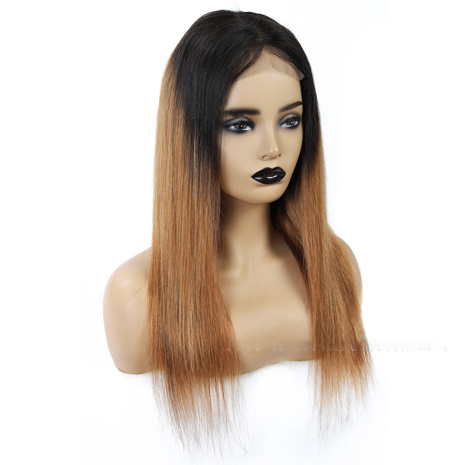 Malaysian Remy Martin Hair Gradient