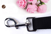 Multifunctional running dog leash Nylon cushioned stretch dog leash for morning run