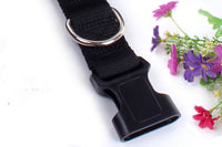 Multifunctional running dog leash Nylon cushioned stretch dog leash for morning run