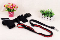 Multifunctional running dog leash Nylon cushioned stretch dog leash for morning run