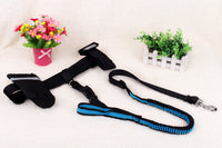 Multifunctional running dog leash Nylon cushioned stretch dog leash for morning run