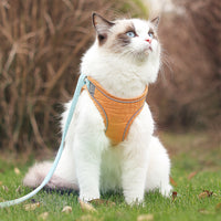 Comfortable Traction Rope For Out And Breathable Cats