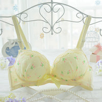 Developmental Pure Cotton Cup, Lace Flower, No Steel Ring Bra Set Adjustment, Gathering Student Underwear
