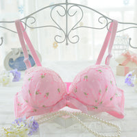 Developmental Pure Cotton Cup, Lace Flower, No Steel Ring Bra Set Adjustment, Gathering Student Underwear