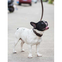 Cowhide Dog Leash To Walk Medium And Large Dogs Golden Retriever Labrador Corgi Husky Pet Supplies