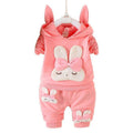Toddler Girls Clothing Outfit 2 Piece Long Sleeve Hoodie Sweatshirt Pants Outfits Set 9 24 Months