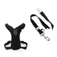 Mesh Chest Back With PP Seat Belts Can Be Customized