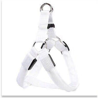 Dog Leashing Vest With Led Illuminated Chest Back