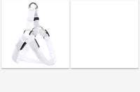 Dog Leashing Vest With Led Illuminated Chest Back