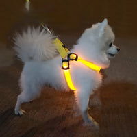 Dog Leashing Vest With Led Illuminated Chest Back
