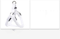 Dog Leashing Vest With Led Illuminated Chest Back