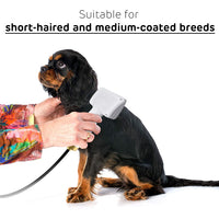 Drying Model Of Pet Hair Dryer