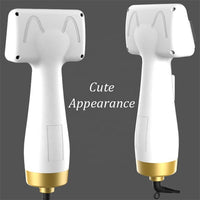Drying Model Of Pet Hair Dryer