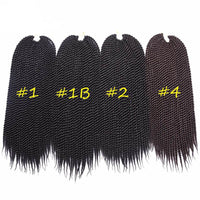 Ladies Dirty Braid Wig