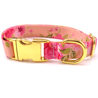 Golden Buckle Collar With Lettering Dog Collar