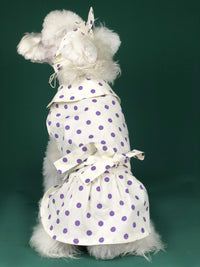 Dog Clothes Summer Thin Small Dog Cute Princess Dress Teddy Schnauzer Corgi Cat Pet Outfit