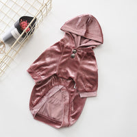 Dense Velvet Dog Clothes Teddy Bichon Pug Fall Winter Casual Pet Hooded Sweater Patel Clothing