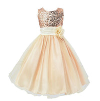 New Children's Dress Skirt Girls Net Yarn Princess Fluffy Group