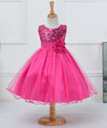 New Children's Dress Skirt Girls Net Yarn Princess Fluffy Group