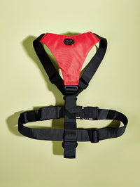Dog Chest Harness Color Matching Leash Pet Supplies
