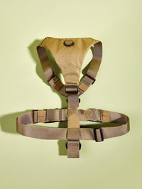 Dog Chest Harness Color Matching Leash Pet Supplies