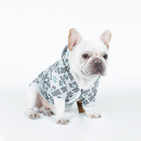 Teddy Dog Pattern Print Pet Clothes