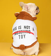 Pet Tide Brand Little Bear Transformed Into Two-Piece Suit