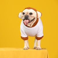 Pet Tide Brand Little Bear Transformed Into Two-Piece Suit
