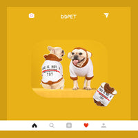 Pet Tide Brand Little Bear Transformed Into Two-Piece Suit