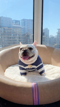 New Pet Dog Clothes Soft Striped Sweater
