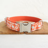 Orange Adventure Matching Collar And Leash Set