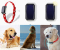 Beidou GPS pet positioning collar