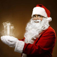 Christmas party party costume