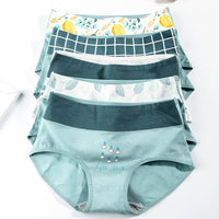 Autumn underpants girl 100% cotton