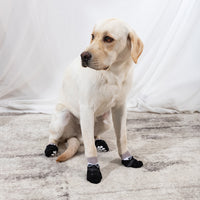 Halloween Pet Socks Dog Foot Cover Box